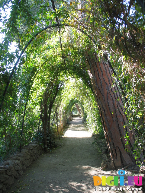 21170 Overgrown walkway